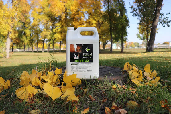 Huile Chanvre 3.78 Litres