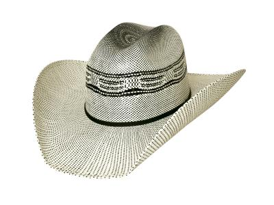 Bull Red Neck Reason Blanc