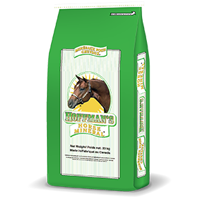 Horse Mineral Original