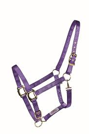 Licol Country Legend 292916