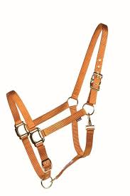 Licol Country Legend 292916