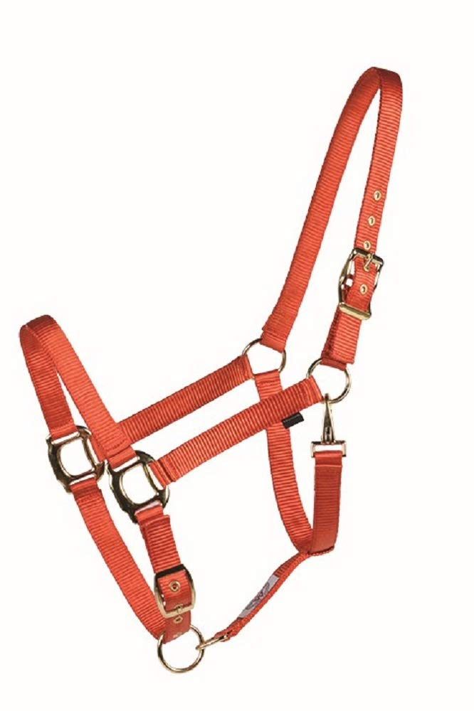 Licol Country Legend 292916